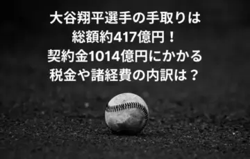 大谷翔平　手取り