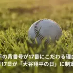 大谷翔平　17番