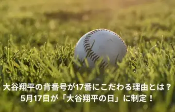 大谷翔平　17番