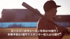 ヌートバー 年収