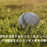 大谷翔平　デニス・カスンバ