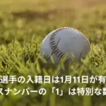 大谷翔平　入籍日