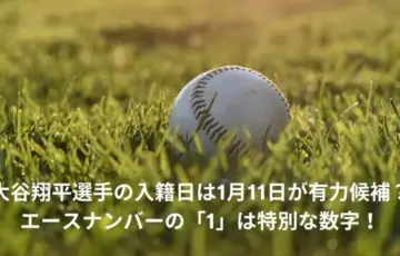 大谷翔平　入籍日