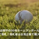 大谷翔平　ホームランボール　落札