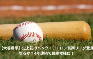 大谷翔平　ハンク・アーロン賞