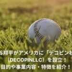 大谷翔平　デコピン社