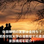 佐藤輝明　実家　金持ち