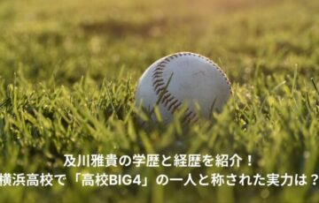 及川雅貴　学歴　経歴