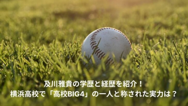 及川雅貴　学歴　経歴