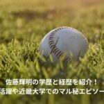 佐藤輝明　学歴　経歴