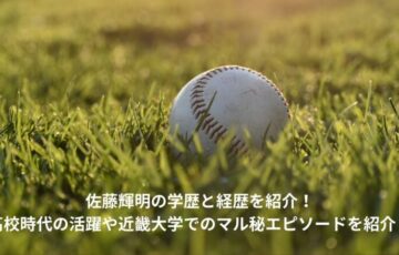 佐藤輝明　学歴　経歴
