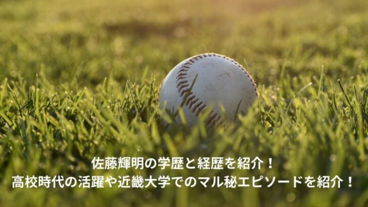 佐藤輝明　学歴　経歴