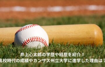 井上心太郎　学歴　経歴