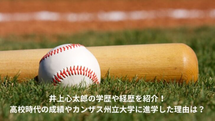 井上心太郎　学歴　経歴