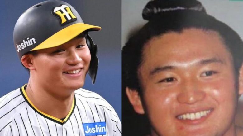 森下翔太 貴乃花