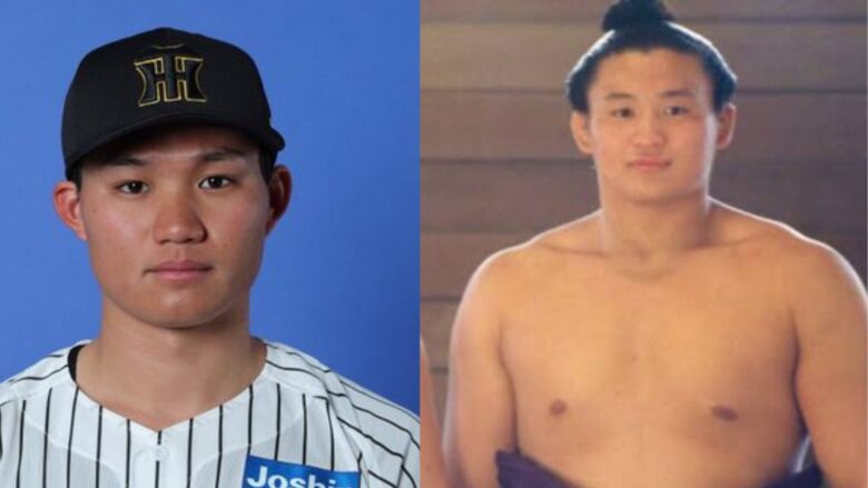 森下翔太 貴乃花