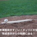 千賀滉大　年俸　推移