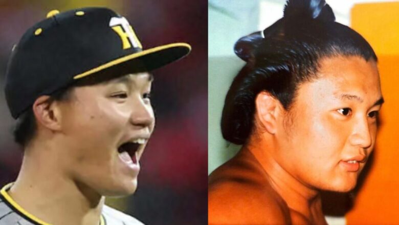 森下翔太 貴乃花