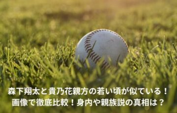 森下翔太　貴乃花