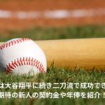 柴田獅子　二刀流