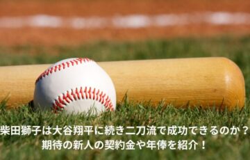 柴田獅子　二刀流