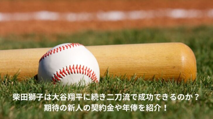 柴田獅子　二刀流