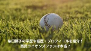 柴田獅子 学歴 経歴