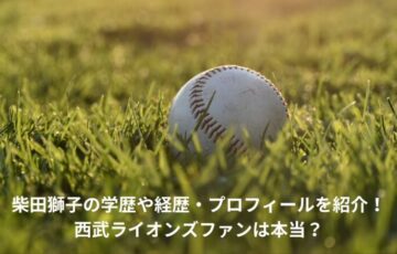 柴田獅子　学歴　経歴