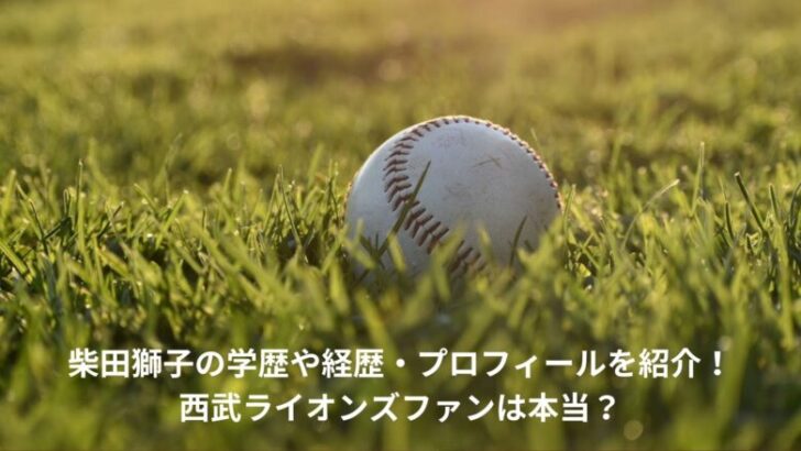 柴田獅子　学歴　経歴