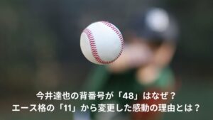 今井達也　背番号