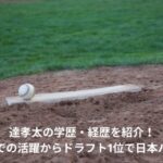 達孝太　学歴　経歴