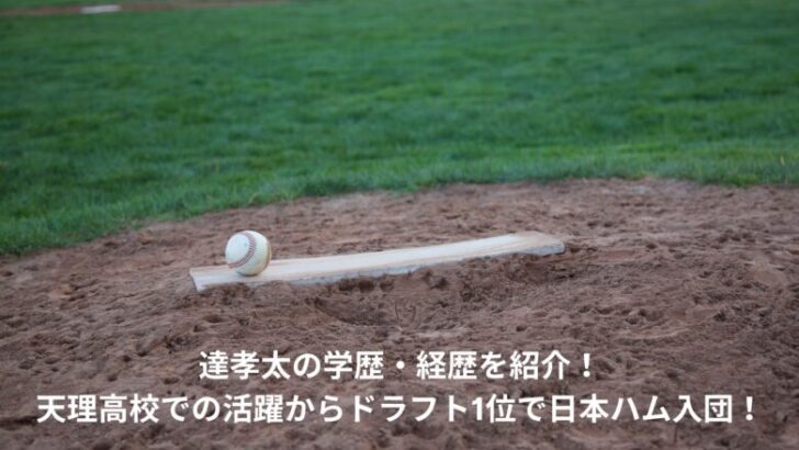 達孝太　学歴　経歴