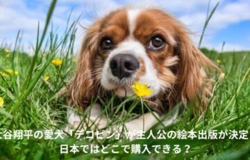 大谷翔平　デコピン　絵本
