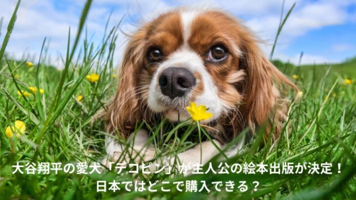 大谷翔平　デコピン　絵本