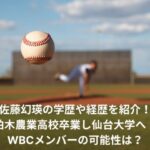 佐藤幻瑛　学歴　経歴