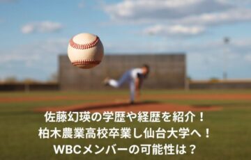 佐藤幻瑛　学歴　経歴