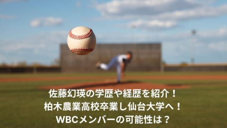 佐藤幻瑛　学歴　経歴
