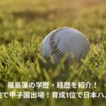 福島蓮　学歴　経歴