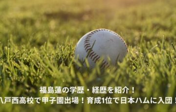 福島蓮　学歴　経歴