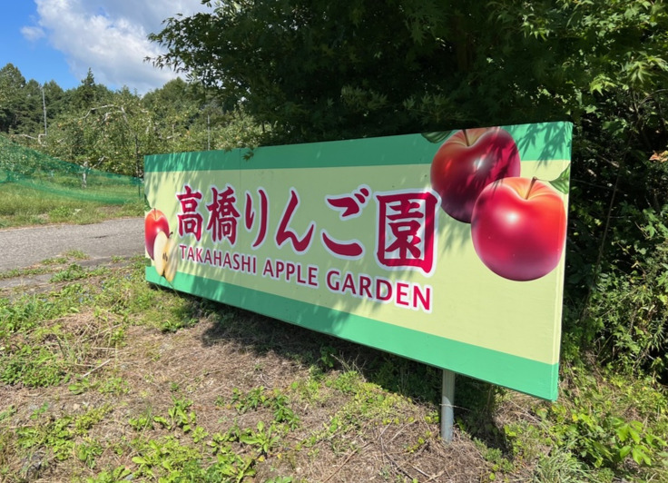 髙橋光成