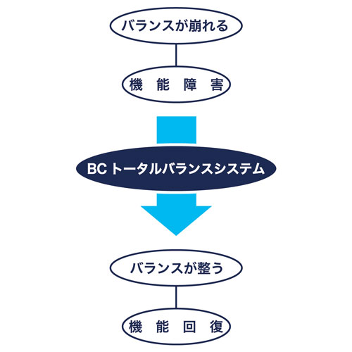 BCトータルバランスシステム