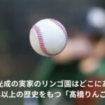 髙橋光成　りんご園