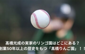 髙橋光成　りんご園