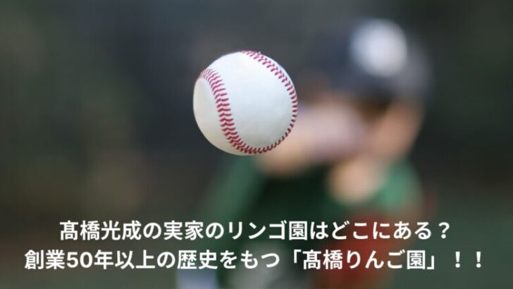 髙橋光成　りんご園