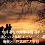 今井達也　実家