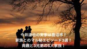 今井達也　実家