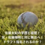 佐藤太紀　学歴　経歴