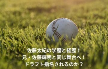 佐藤太紀　学歴　経歴