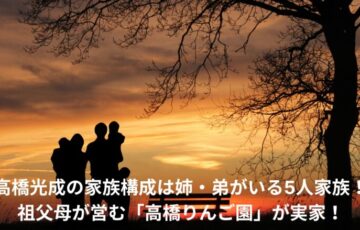 髙橋光成