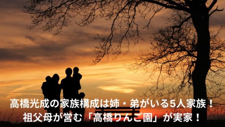 髙橋光成